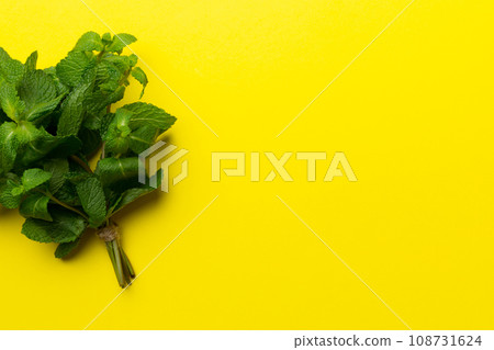 Mint leaf. Fresh mint on Colored background. Mint leaves isolated Top view with copy space 108731624