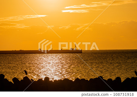 [Niigata Prefecture/Sado/Mano Bay] Let's take it easy on Sado Island 108731918