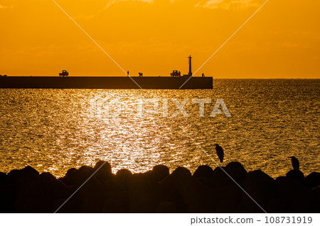 [Niigata Prefecture/Sado/Mano Bay] Let's take it easy on Sado Island 108731919