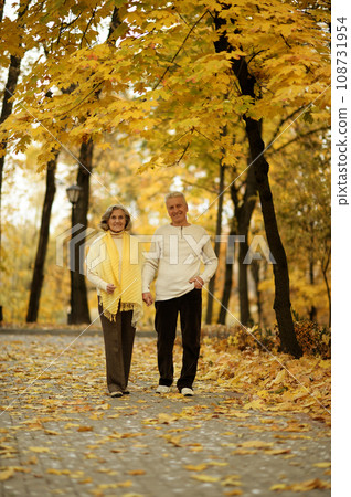 Elderly couple dance in the park in autumn. 108731954