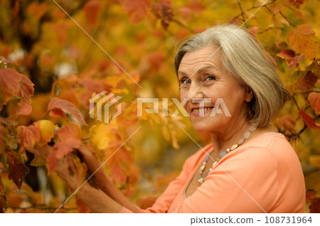 Senior woman walking in the park in autumn.  108731964