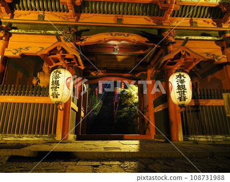 Ikaho Onsen Mizusawa Kanzeon Niomon 108731988