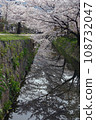 Cherry blossoms in full bloom along the Philosopher's Path and reflections in the river 108732047