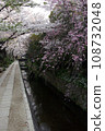 Two types of cherry blossoms blooming along the Philosopher's Path 108732048