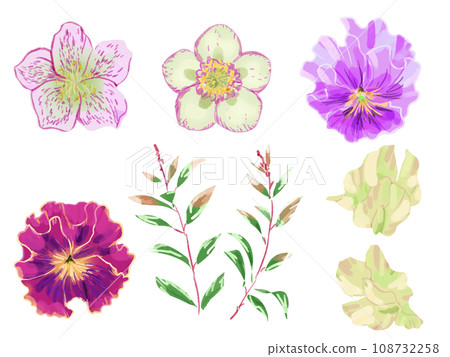 Ruffled pansies and christmas rose watercolor illustration Ruffled pansies and christmas rose watercolor illustration 108732258