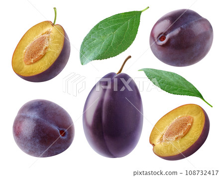 Collection of whole and cut blue plum fruits and leaves isolated on white background Collection of whole and cut blue plum fruits and leaves isolated on white background 108732417
