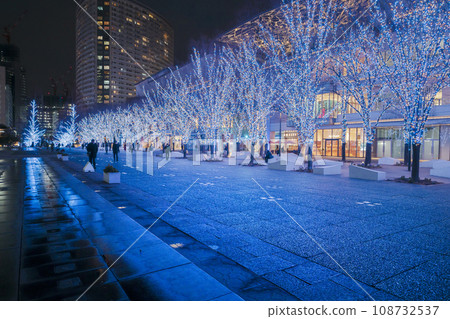 Illumination of Minato Mirai Grand Mall Park [Kanagawa Prefecture/Yokohama City] 108732537