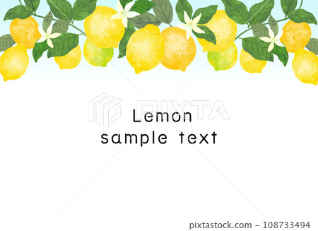 Watercolor style retro lemon frame illustration material 108733494
