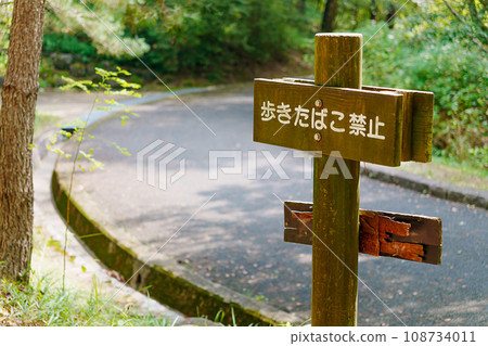 No tobacco walk sign 108734011