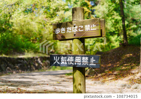 No tobacco walk sign No tobacco walk sign 108734015