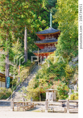 [奈良縣] 大和郡山市松尾寺（2023年11月8日拍攝） 108734051