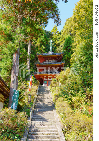 [奈良縣] 大和郡山市松尾寺（2023年11月8日拍攝） 108734052