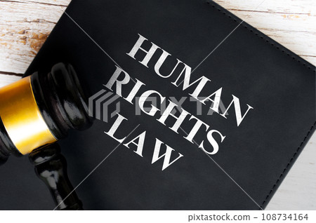 Top view of Human Rights Law book with gavel background. Law concept 108734164