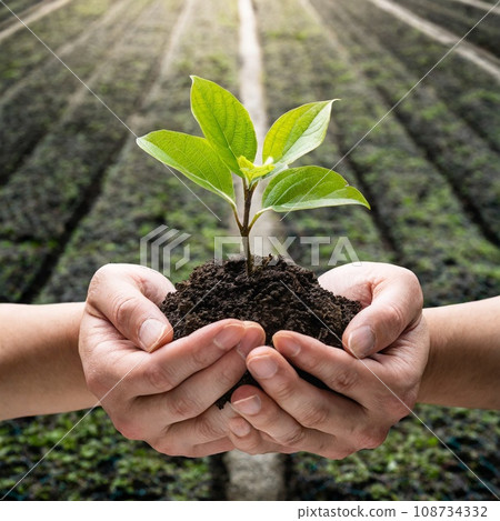 雙手捧著幼苗 108734332