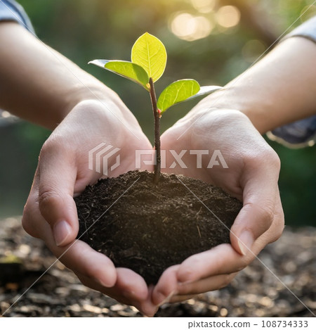 雙手捧著幼苗 108734333