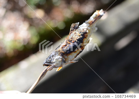 鹽烤三文魚 鹽烤三文魚 108734469