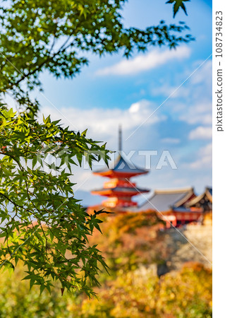 清水寺的秋葉和五層寶塔的景色 清水寺的秋葉和五層寶塔的景色 108734823