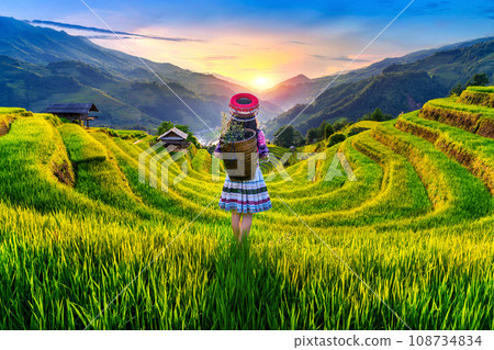 Hmong ethnic minority women standing on rice terraces in Mu Cang Chai, Yen Bai, Vietnam. 108734834
