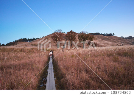 托峰高原　 108734863