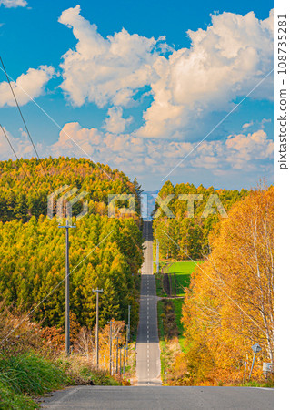 Landscape of Biei in autumn Landscape of Biei in autumn 108735281