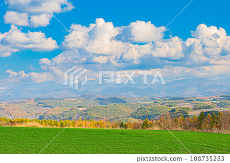 Landscape of Biei in autumn 108735283