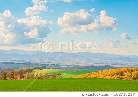 Landscape of Biei in autumn 108735287