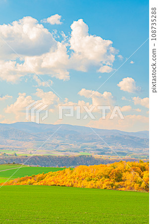 Landscape of Biei in autumn 108735288