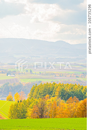 Biei風景在秋天 108735296