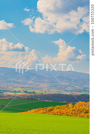 Landscape of Biei in autumn Landscape of Biei in autumn 108735320
