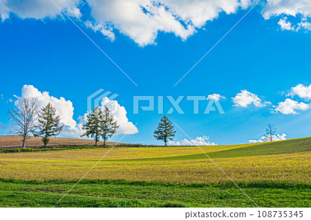 Biei風景在秋天 108735345