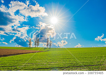 Biei's autumn landscape Biei's autumn landscape 108735485
