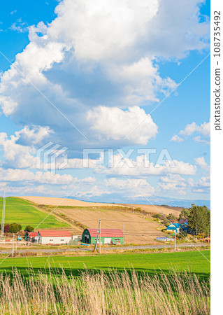 美瑛的秋景 108735492