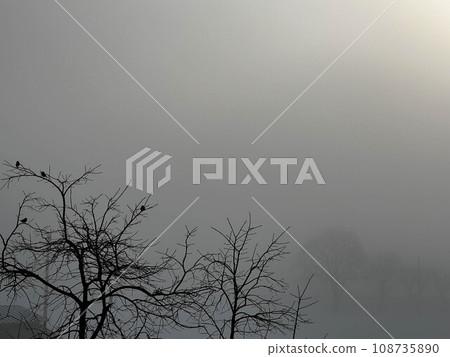 Below zero morning ~Morning light~ Below zero morning ~Morning light~ 108735890