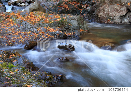 Befu Gorge, mountain stream in late autumn (Kami City, Kochi Prefecture) Befu Gorge, mountain stream in late autumn (Kami City, Kochi Prefecture) 108736354