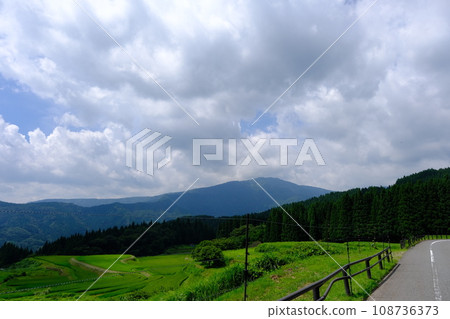 Rice field surrounded by mountains 108736373