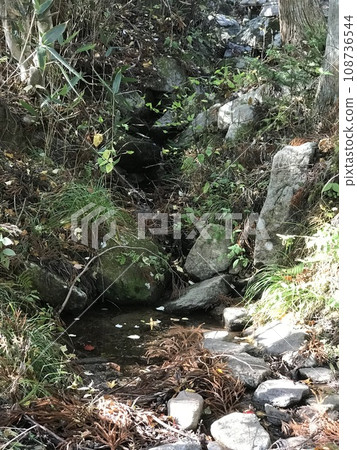 small stream in the mountains small stream in the mountains 108736544