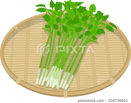 Seri on a colander 108736681