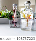 植物標本室 108737223