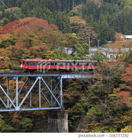 Aizu Railway of autumn leaves 108737292
