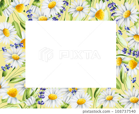 Watercolor frame, template with lavender, sage and chamomiles illustration isolated on white background. Detail of beauty products and botany set, cosmetology and medicine. For designers, spa Watercolor frame, template with lavender, sage and chamomiles illustration isolated on white background. Detail of beauty products and botany set, cosmetology and medicine. For designers, spa 108737540