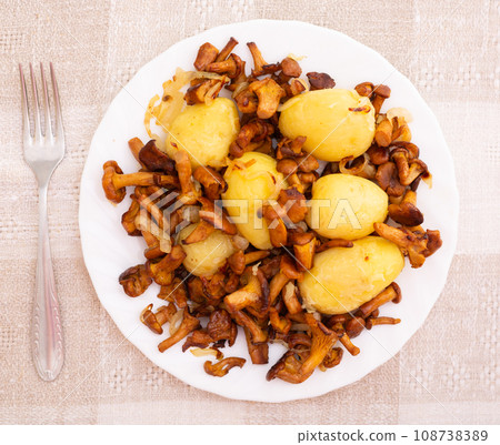 Delicious fried chanterelle mushrooms with new potatoes on a white plate Delicious fried chanterelle mushrooms with new potatoes on a white plate 108738389