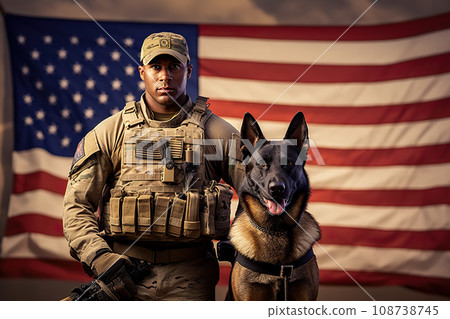 German shepherds 2024 for veterans