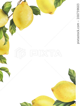 Lemons are yellow, juicy, ripe with green leaves, flower buds on the branches, whole and slices. Watercolor, hand drawn botanical illustration. Frame, template on a white background. 108739683