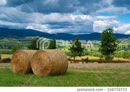 roll of hay lying on the background of a beautiful landscape 108739733