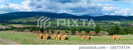 roll of hay lying on the background of a beautiful landscape 108739734