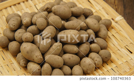 向子(麗代子) 向子(麗代子) 108740363