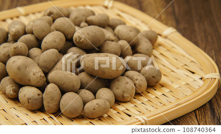 向子(麗代子) 向子(麗代子) 108740364