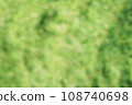 Brilliant green 108740698
