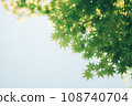 Refreshing fresh green 108740704