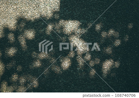 Shadow of a tree reflected on a concrete wall Shadow of a tree reflected on a concrete wall 108740706
